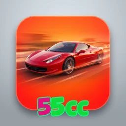 55cc
